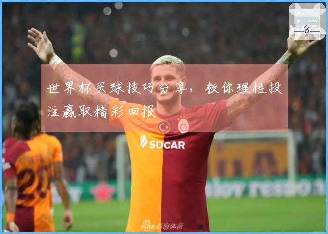 世界杯买球技巧分享，教你理性投注赢取精彩回报