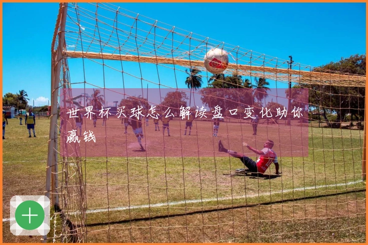 世界杯买球怎么解读盘口变化助你赢钱