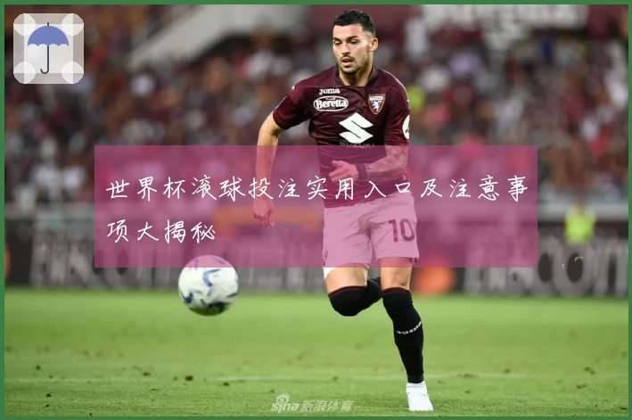 世界杯滚球投注实用入口及注意事项大揭秘