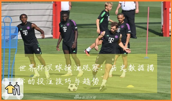世界杯买球投注观察：历史数据揭示的投注技巧与趋势