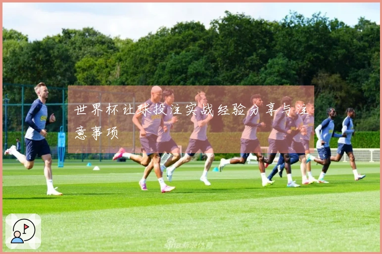 世界杯让球投注实战经验分享与注意事项
