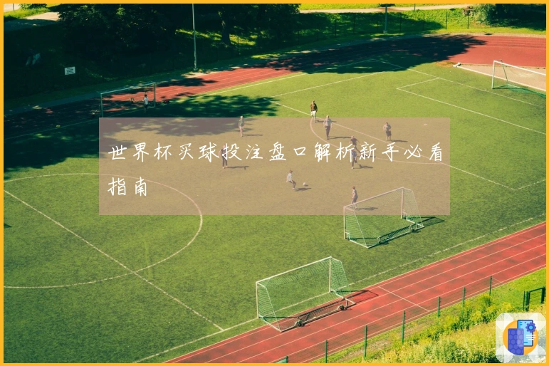世界杯买球投注盘口解析新手必看指南