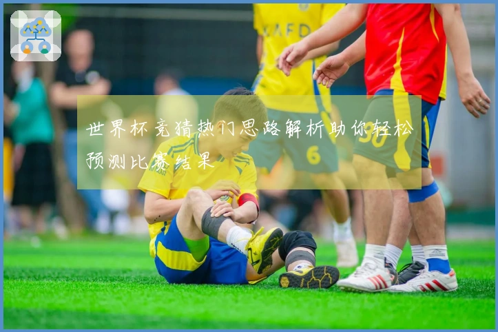 世界杯竞猜热门思路解析助你轻松预测比赛结果