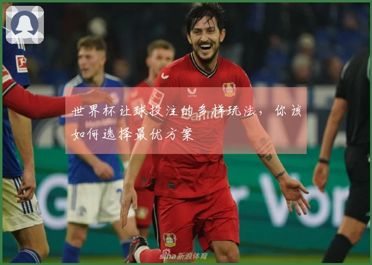 世界杯让球投注的多样玩法，你该如何选择最优方案