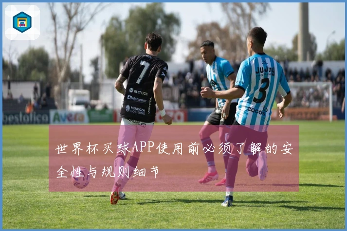 世界杯买球APP使用前必须了解的安全性与规则细节