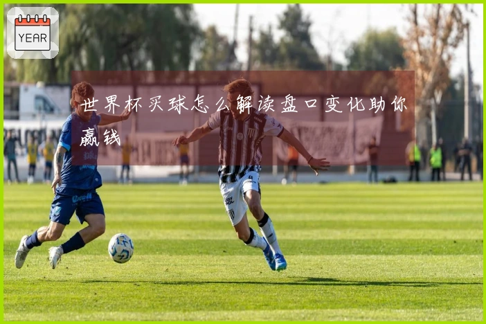 世界杯买球怎么解读盘口变化助你赢钱